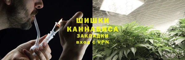 скорость Пестово