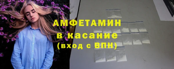 сатива Аркадак