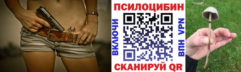 Галлюциногенные грибы Cubensis  купить наркоту  Суздаль 